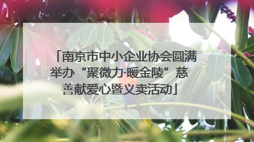 南京市中小企业协会圆满举办“聚微力·暖金陵”慈善献爱心暨义卖活动