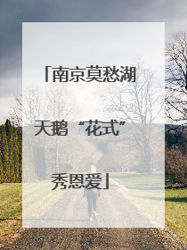 南京莫愁湖天鹅“花式”秀恩爱