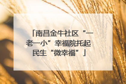 南昌金牛社区“一老一小”幸福院托起民生“微幸福”