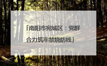 南阳市宛城区：党群合力筑牢禁烧防线