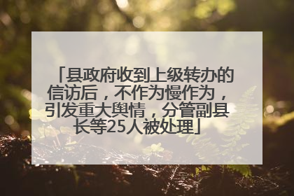 县政府收到上级转办的信访后，不作为慢作为，引发重大舆情，分管副县长等25人被处理