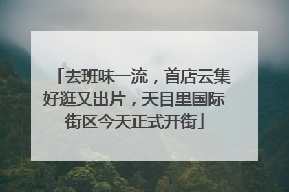 去班味一流，首店云集好逛又出片，天目里国际街区今天正式开街