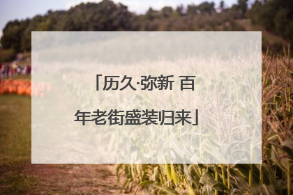 历久·弥新 百年老街盛装归来