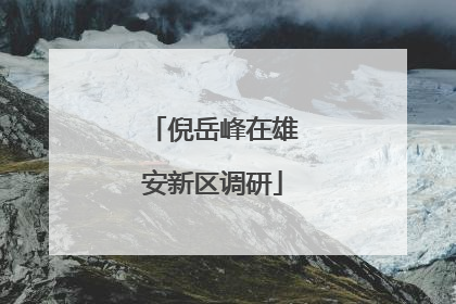 倪岳峰在雄安新区调研