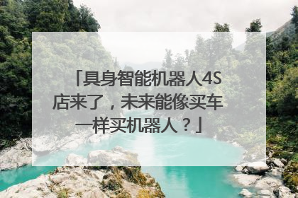 具身智能机器人4S店来了，未来能像买车一样买机器人？