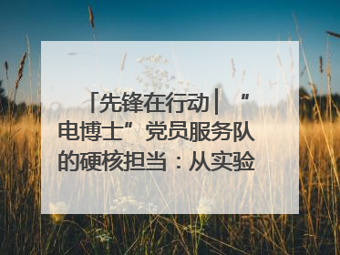 先锋在行动 ▏“电博士”党员服务队的硬核担当：从实验室到抗洪一线