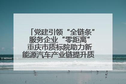 党建引领“全链条” 服务企业“零距离” 重庆市质标院助力新能源汽车产业链提升质量管理水平