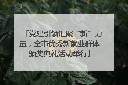 党建引领汇聚“新”力量，全市优秀新就业群体颁奖典礼活动举行