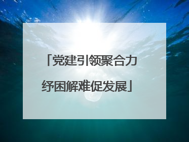 党建引领聚合力 纾困解难促发展