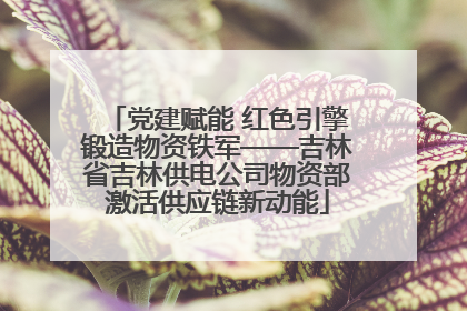 党建赋能 红色引擎锻造物资铁军——吉林省吉林供电公司物资部激活供应链新动能