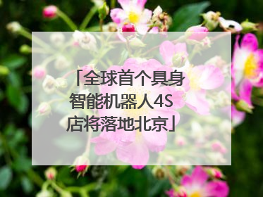 全球首个具身智能机器人4S店将落地北京