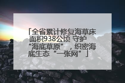 全省累计修复海草床面积938公顷 守护“海底草原”，织密海底生态“一张网”