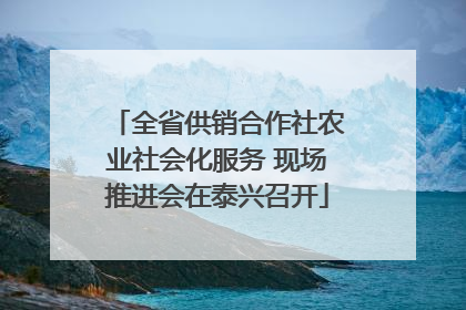 全省供销合作社农业社会化服务 现场推进会在泰兴召开