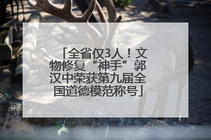 全省仅3人！文物修复“神手”郭汉中荣获第九届全国道德模范称号