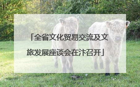 全省文化贸易交流及文旅发展座谈会在汴召开