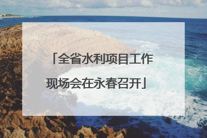 全省水利项目工作现场会在永春召开