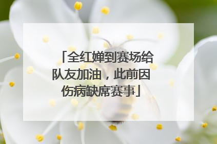 全红婵到赛场给队友加油，此前因伤病缺席赛事