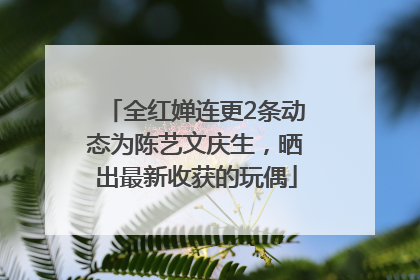 全红婵连更2条动态为陈艺文庆生，晒出最新收获的玩偶