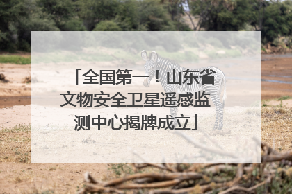 全国第一！山东省文物安全卫星遥感监测中心揭牌成立