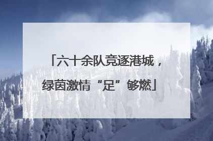 六十余队竞逐港城，绿茵激情“足”够燃