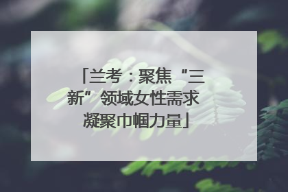 兰考：聚焦“三新”领域女性需求 凝聚巾帼力量