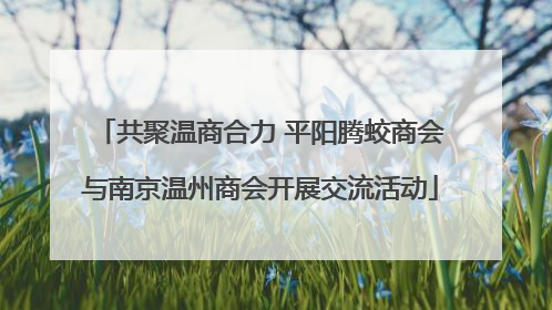 共聚温商合力 平阳腾蛟商会与南京温州商会开展交流活动