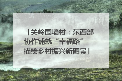 关岭围墙村：东西部协作铺就“幸福路” 描绘乡村振兴新图景