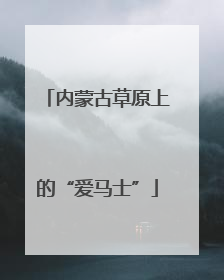 内蒙古草原上的“爱马士”