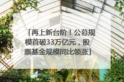 再上新台阶！公募规模首破33万亿元，股票基金规模同比领涨