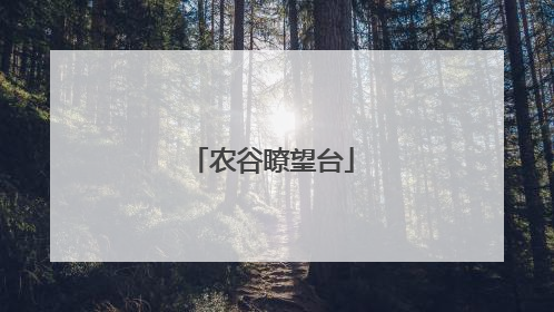 农谷瞭望台