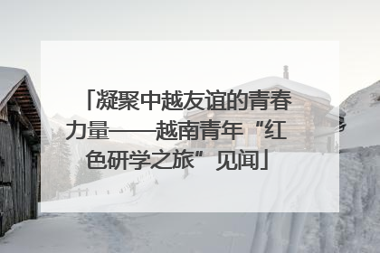 凝聚中越友谊的青春力量——越南青年“红色研学之旅”见闻