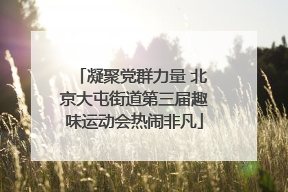 凝聚党群力量 北京大屯街道第三届趣味运动会热闹非凡