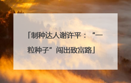 制种达人谢许平：“一粒种子”闯出致富路
