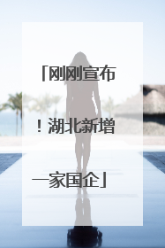 刚刚宣布！湖北新增一家国企