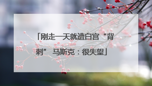 刚走一天就遭白宫“背刺” 马斯克：很失望