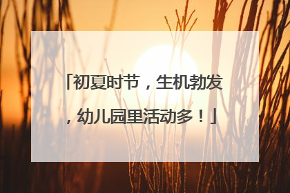 初夏时节，生机勃发，幼儿园里活动多！