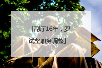副厅16年，罗试坚职务调整