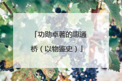 功勋卓著的惠通桥（以物鉴史）