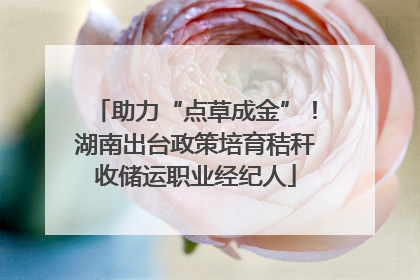 助力“点草成金”！湖南出台政策培育秸秆收储运职业经纪人