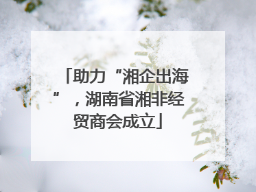 助力“湘企出海”，湖南省湘非经贸商会成立