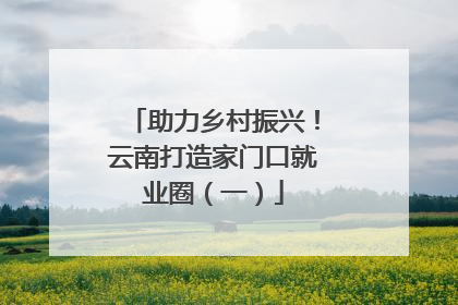 助力乡村振兴！云南打造家门口就业圈（一）