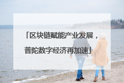 区块链赋能产业发展，普陀数字经济再加速