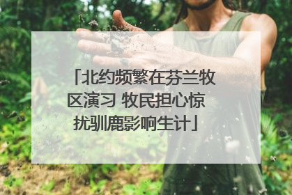 北约频繁在芬兰牧区演习 牧民担心惊扰驯鹿影响生计