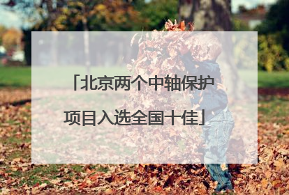 北京两个中轴保护项目入选全国十佳