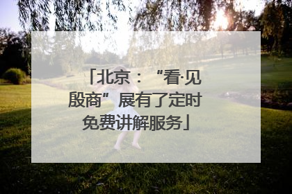 北京：“看·见殷商”展有了定时免费讲解服务