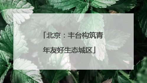 北京：丰台构筑青年友好生态城区