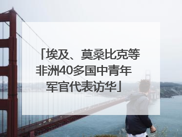 埃及、莫桑比克等非洲40多国中青年军官代表访华
