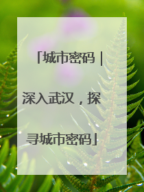 城市密码｜深入武汉，探寻城市密码