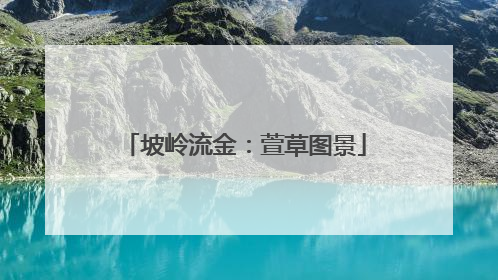 坡岭流金：萱草图景
