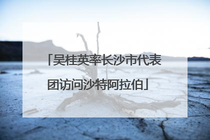 吴桂英率长沙市代表团访问沙特阿拉伯